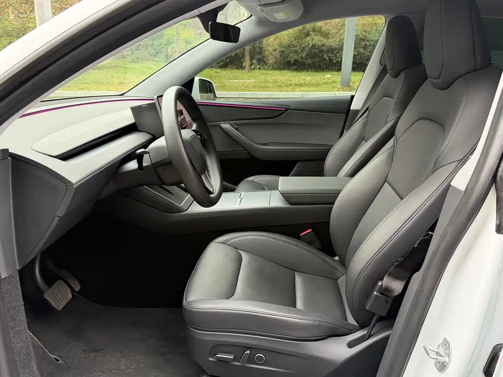 Tesla Model Y — миниатюра 7