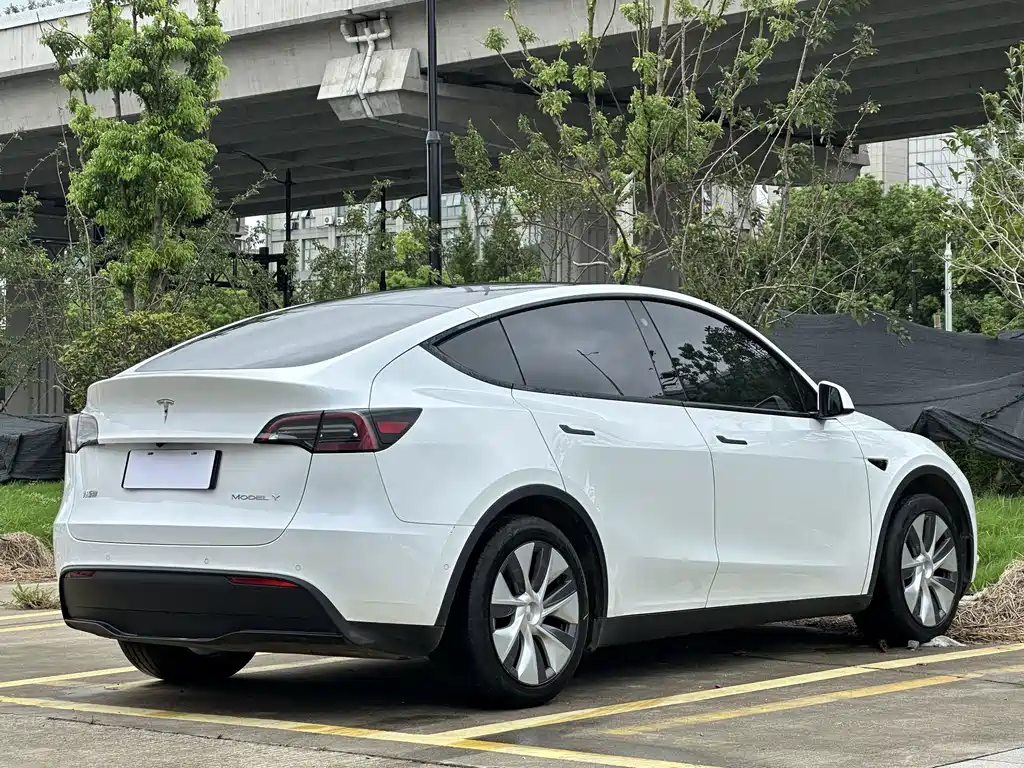 Tesla Model Y — миниатюра 17