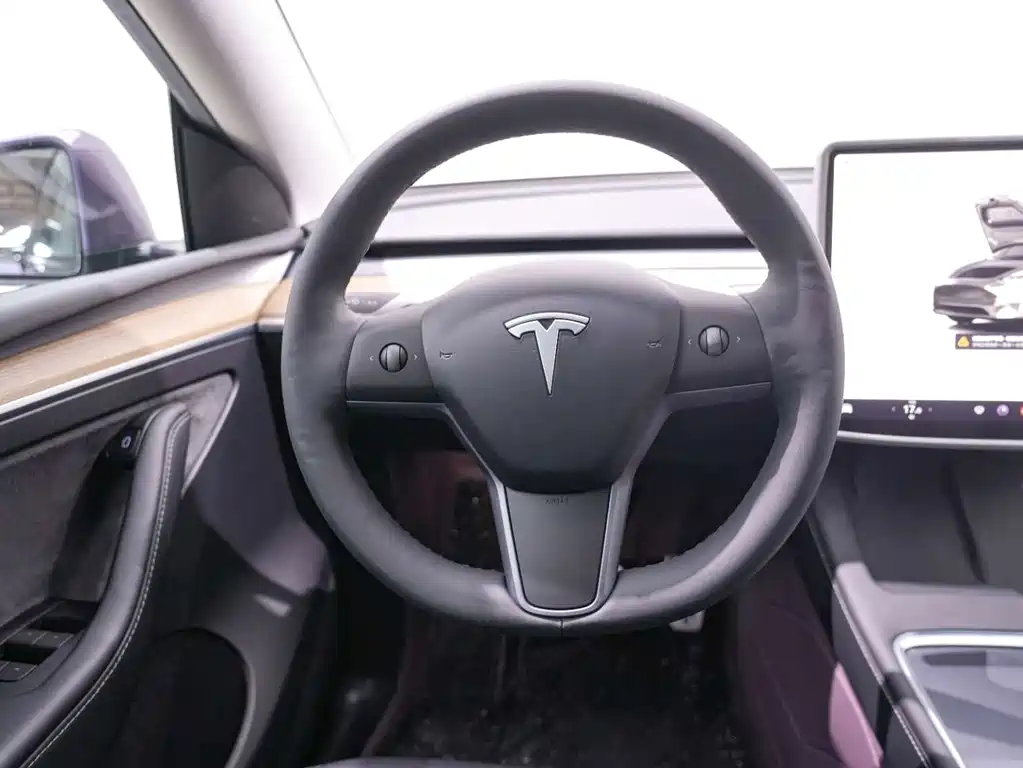 Tesla Model Y — миниатюра 20