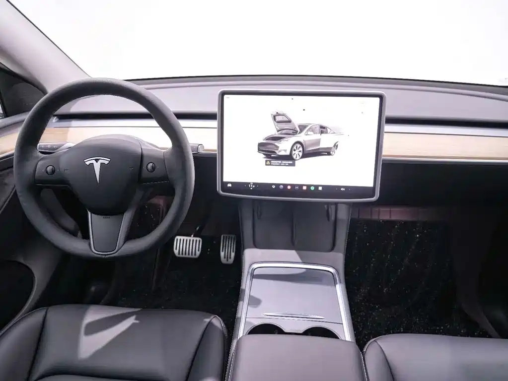 Tesla Model Y — миниатюра 18