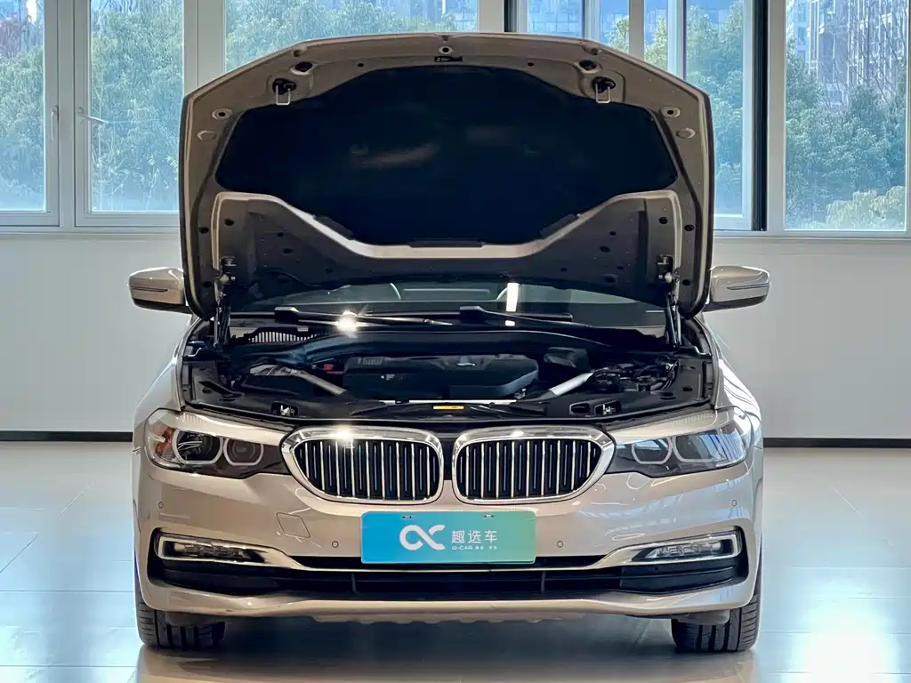 BMW 5 SERIES NEW ENERGY