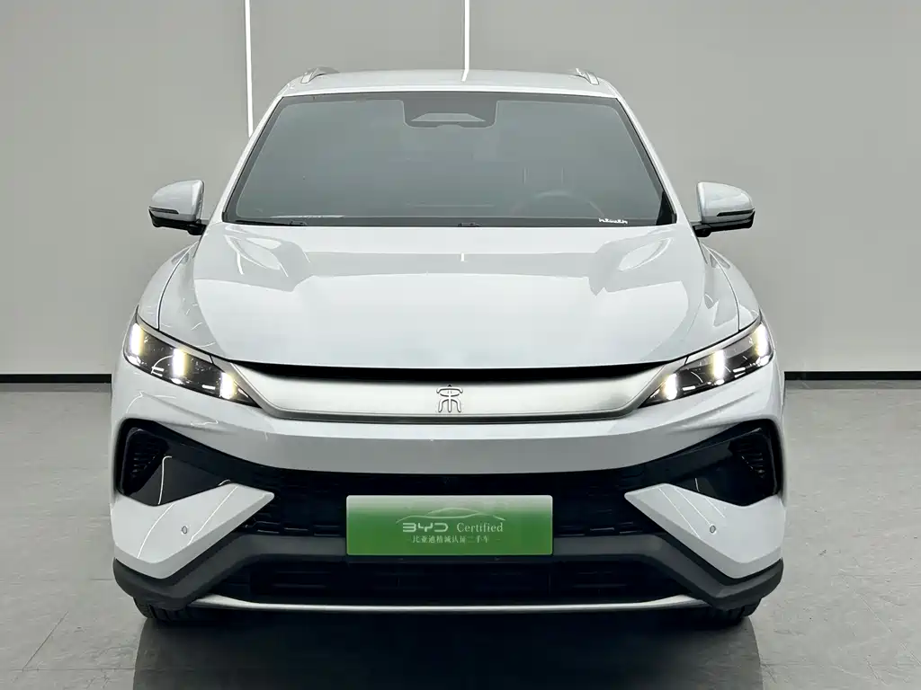BYD Pro New Energy — миниатюра 2