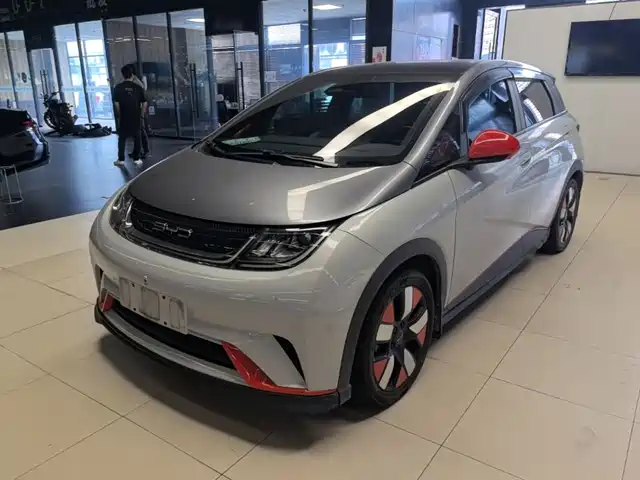 BYD Dolphin