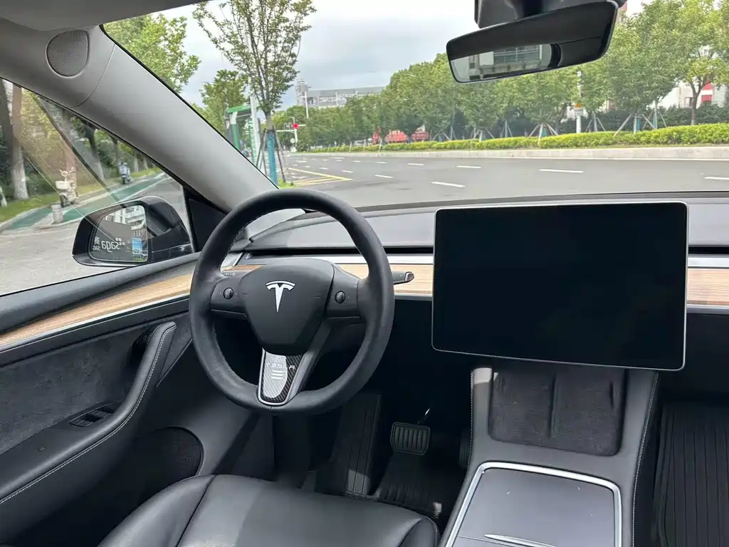Tesla Model Y — миниатюра 9
