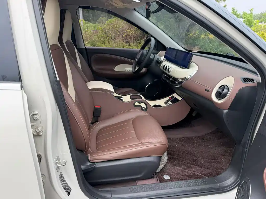 Wuling Binguo 2023 333km +
