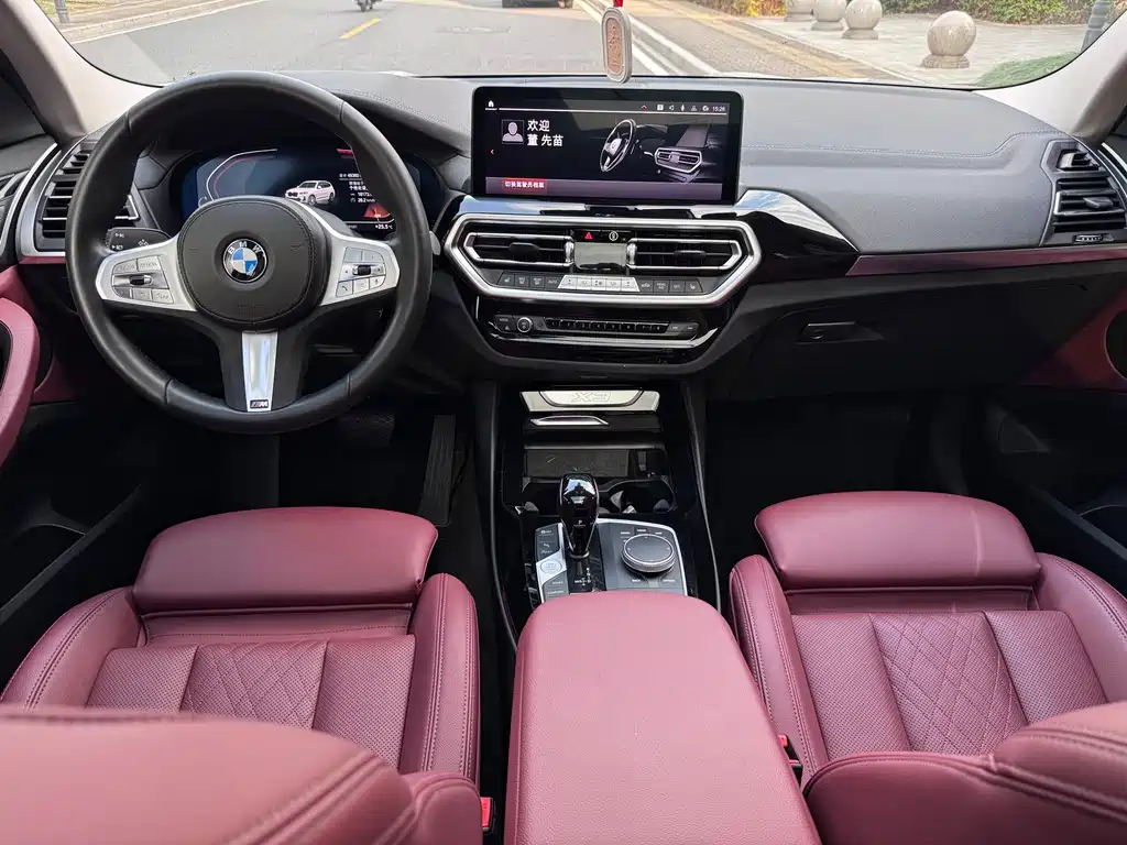 BMW X3 — миниатюра 12