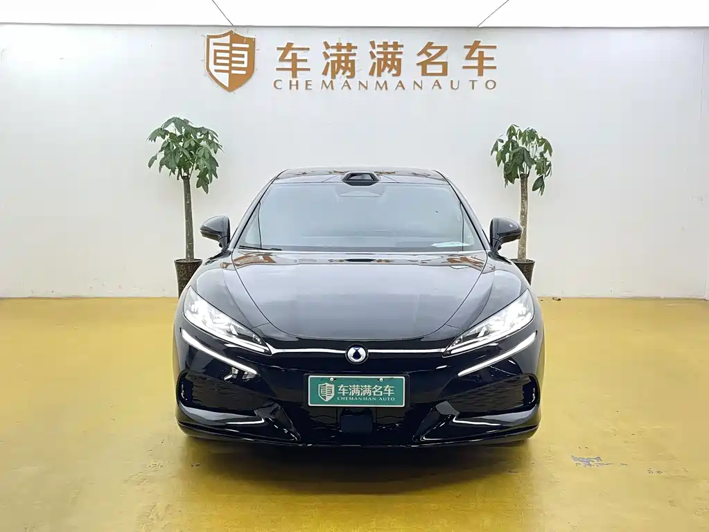 Denza Denza Z9GT — миниатюра 2