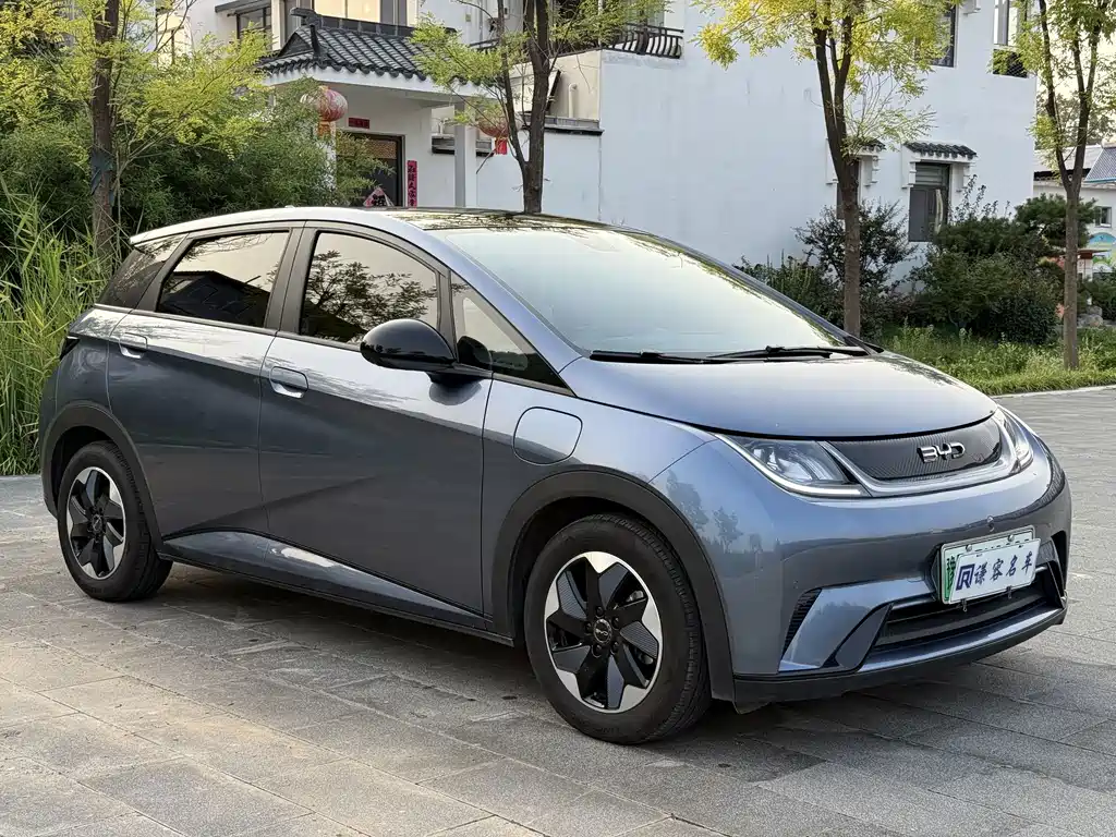 BYD Dolphin — миниатюра 3