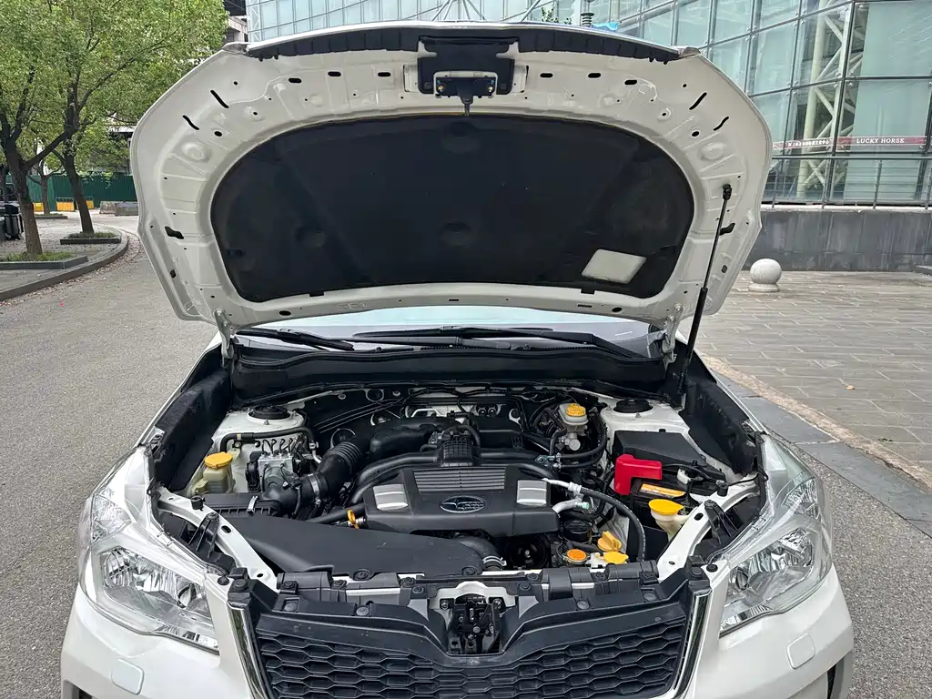 Subaru Forester — миниатюра 38