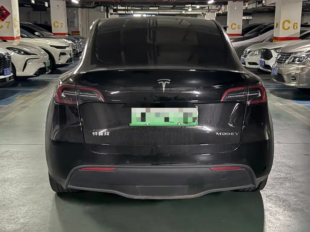Tesla Model Y — миниатюра 6