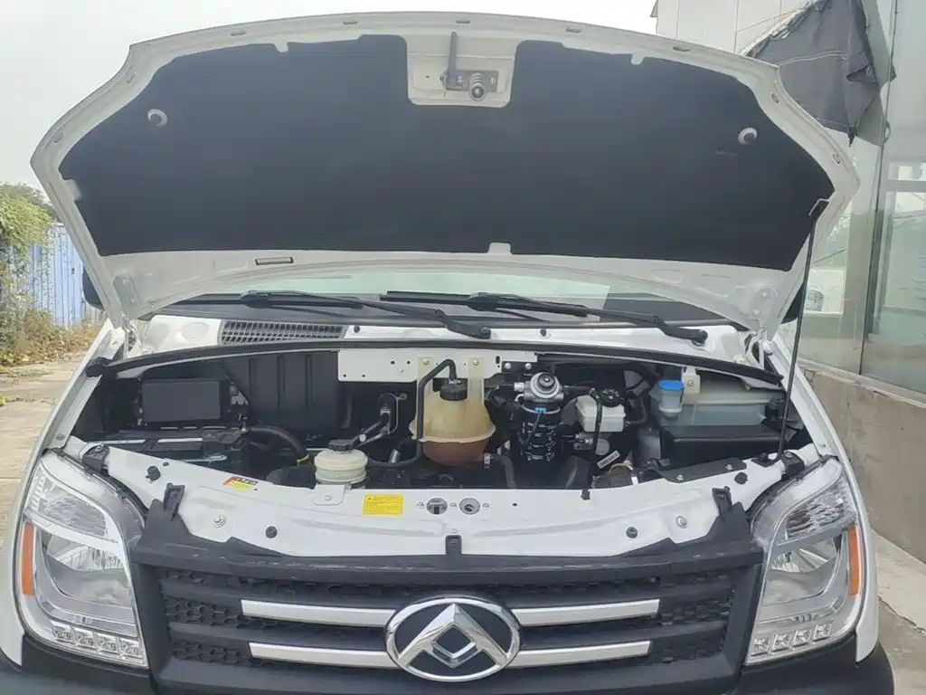 MAXUS V80 — миниатюра 20