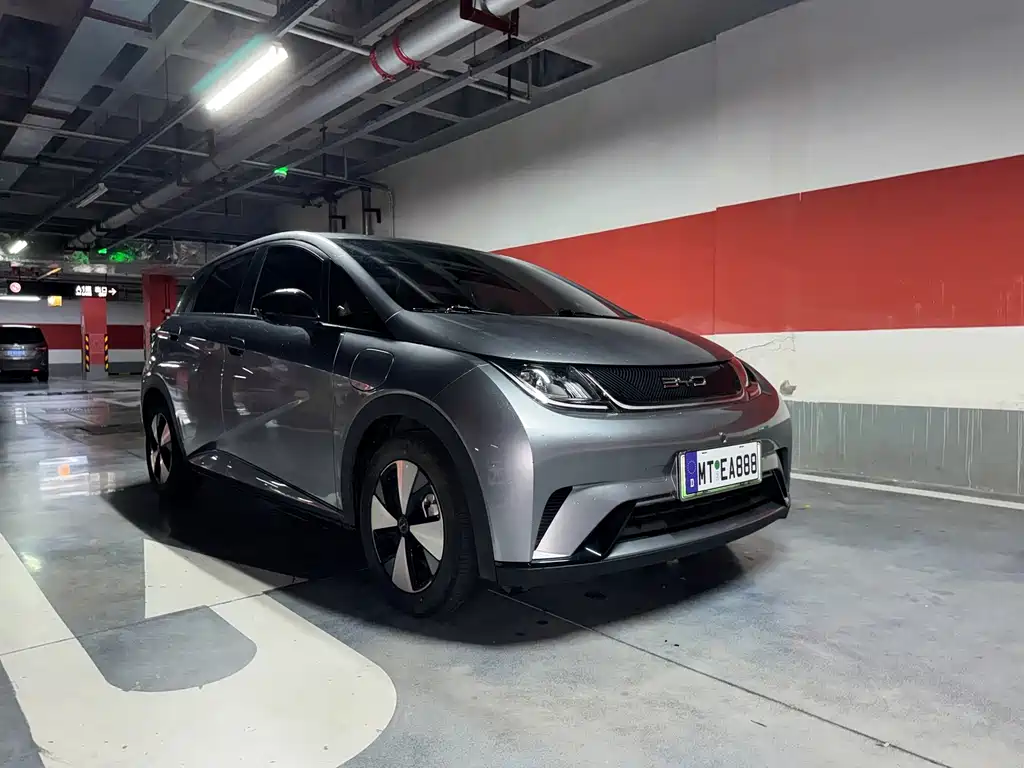 BYD Dolphin — миниатюра 3