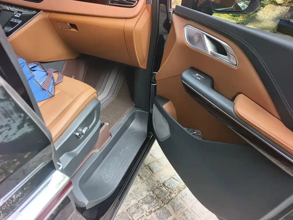 Hongqi Hongqi HQ9 — миниатюра 19