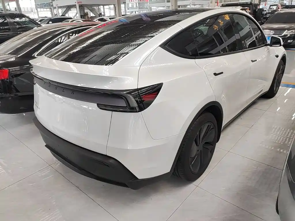 Tesla Model Y — миниатюра 7