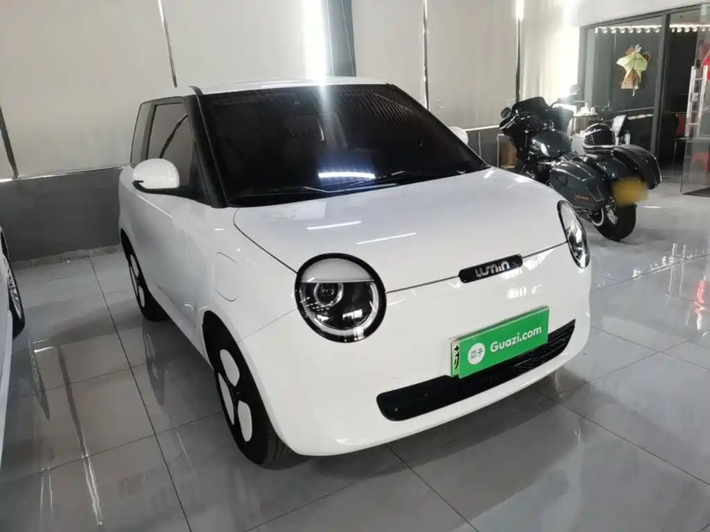 Qiyuan Lumin — миниатюра 4