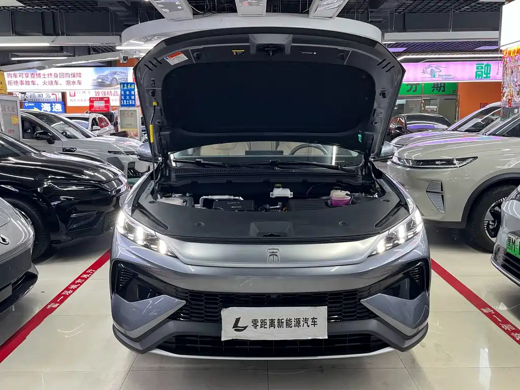 BYD Pro New Energy - фото 18