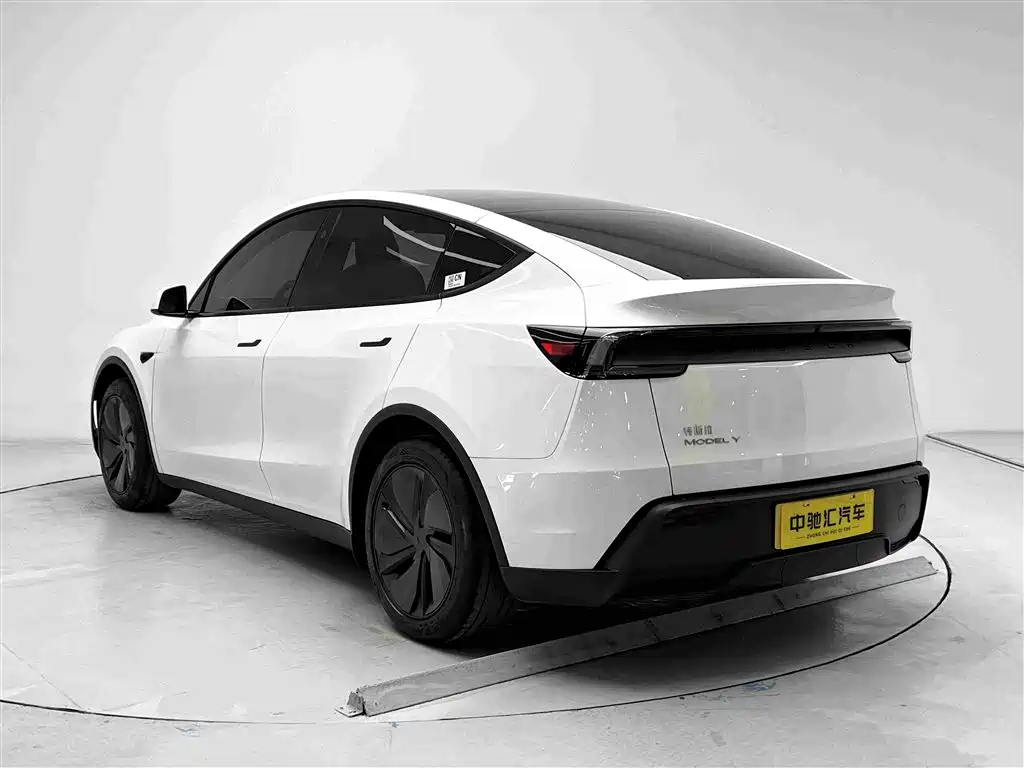 Tesla Model Y — миниатюра 18