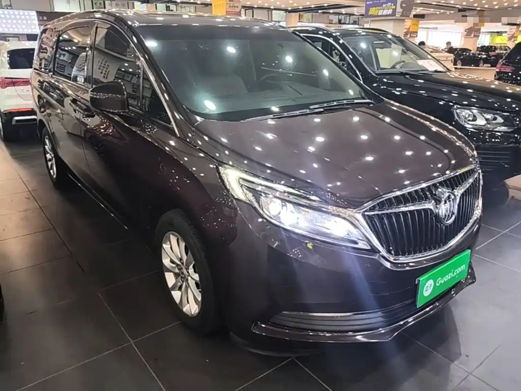Buick GL8 — миниатюра 4