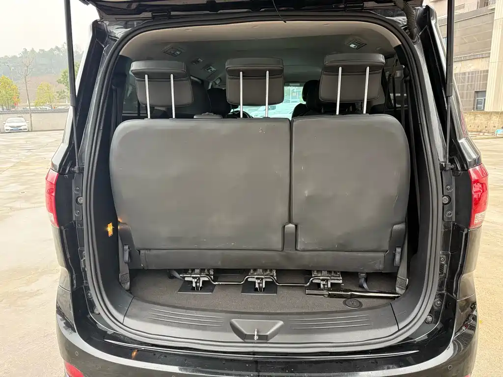 SAIC MAXUS CHASE G10