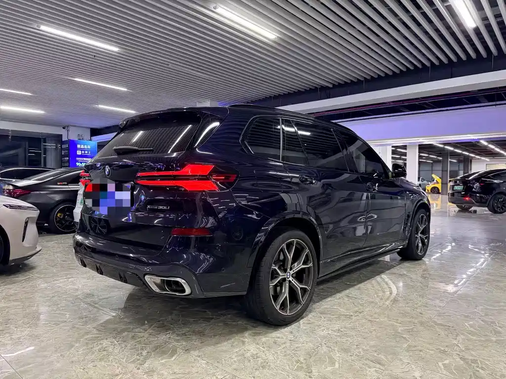 BMW X5 — миниатюра 6