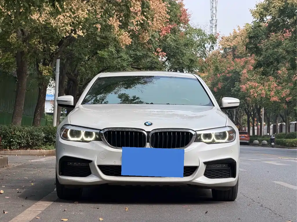 BMW 5 Series — миниатюра 2