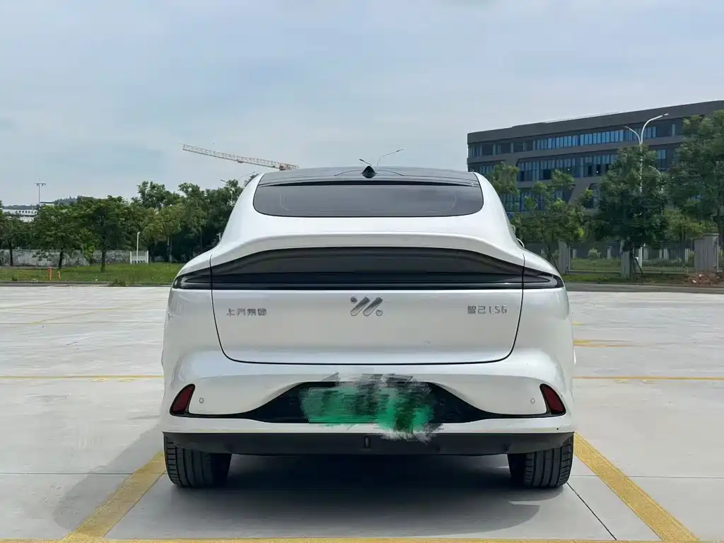 IM IM LS6 — миниатюра 8