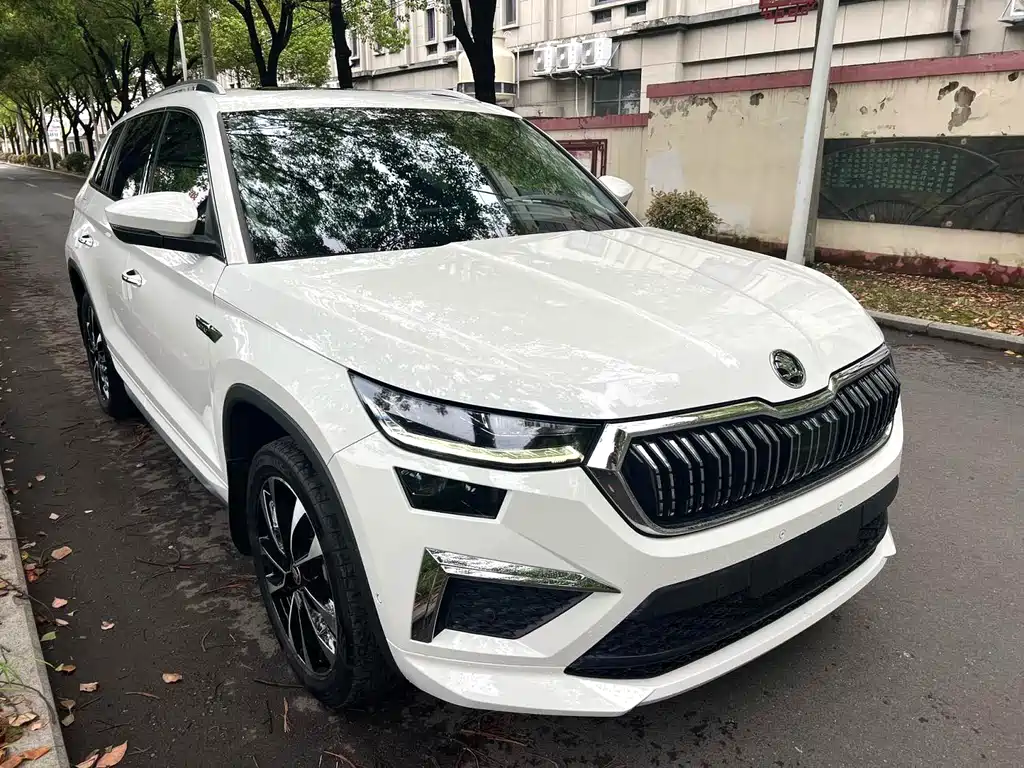 Skoda Kodiaq — миниатюра 3