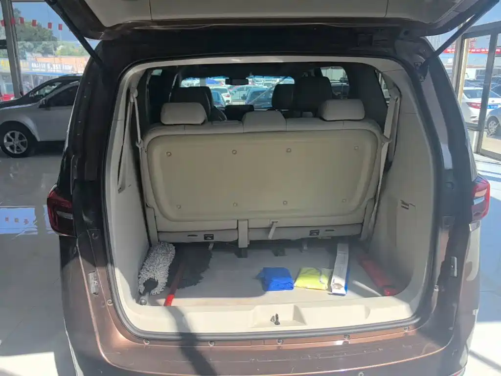 Buick GL8 — миниатюра 19