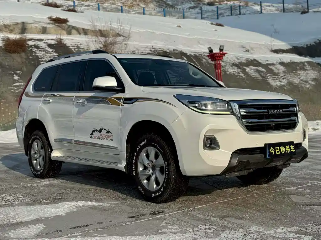 HAVAL H9