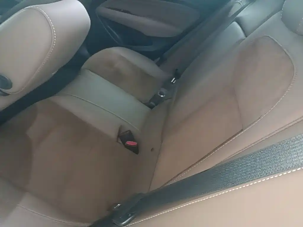 Buick Regal — миниатюра 17