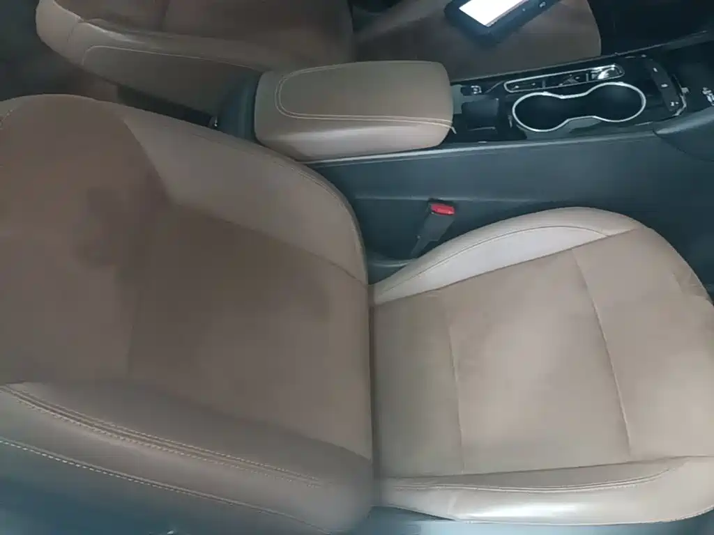 Buick Regal — миниатюра 25