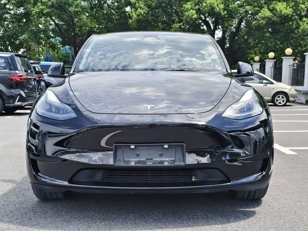 Tesla Model Y — миниатюра 3