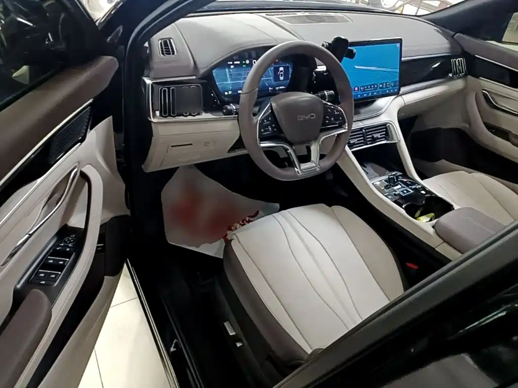BYD PLUS New Energy — миниатюра 16