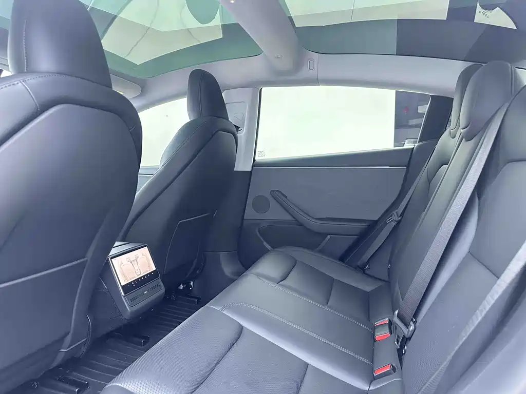 Tesla Model 3 — миниатюра 9