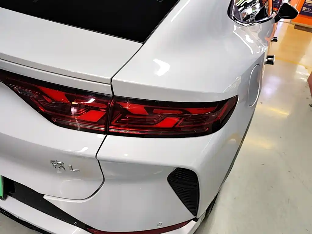 BYD L EV — миниатюра 8