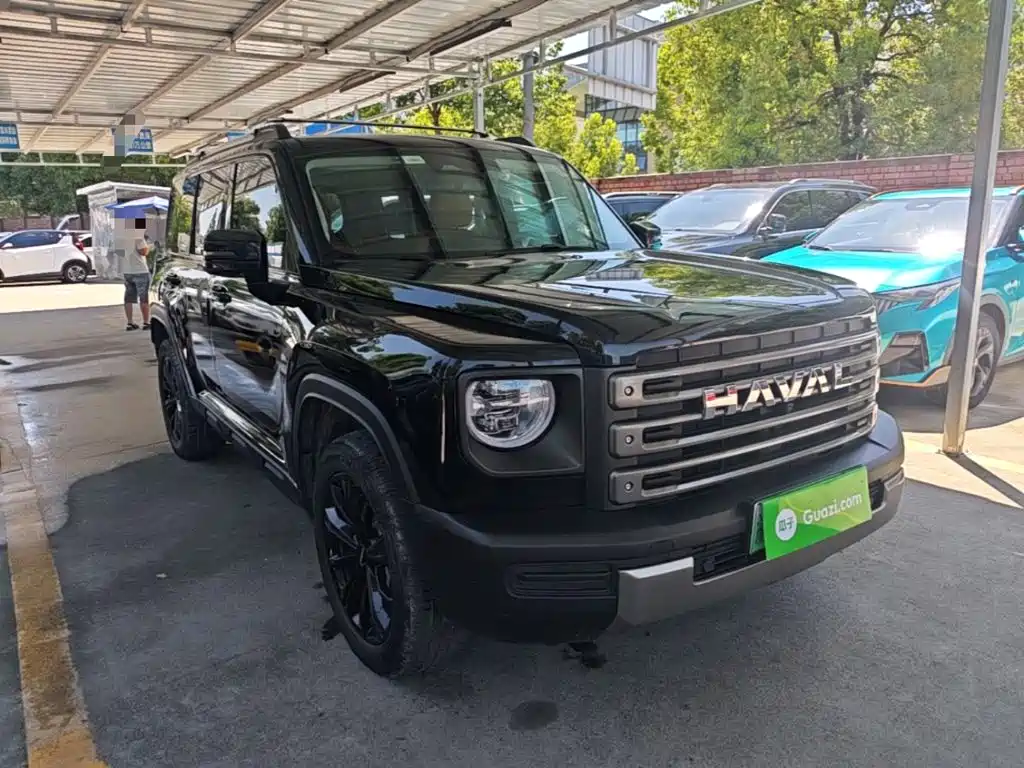 Haval Menglong New Energy — миниатюра 4