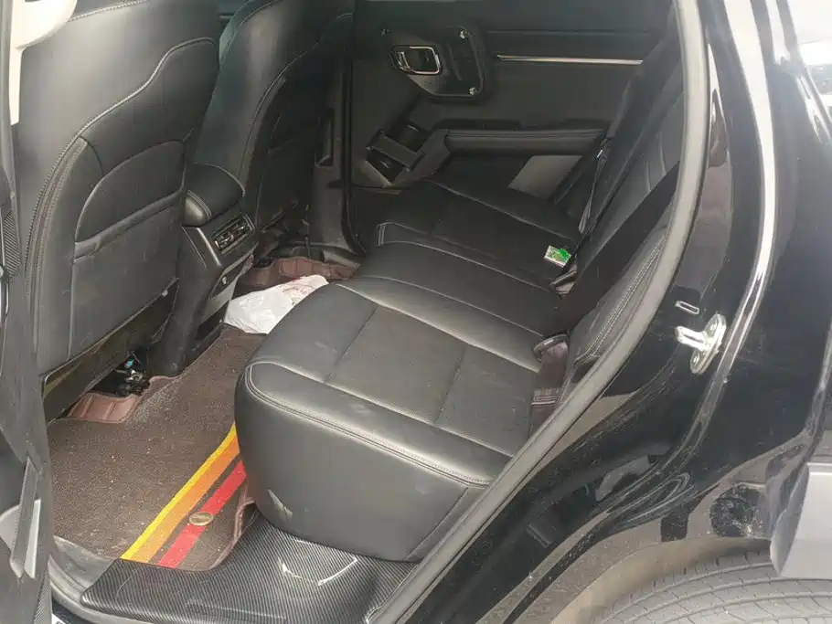 Haval Big Dog PLUS — миниатюра 11