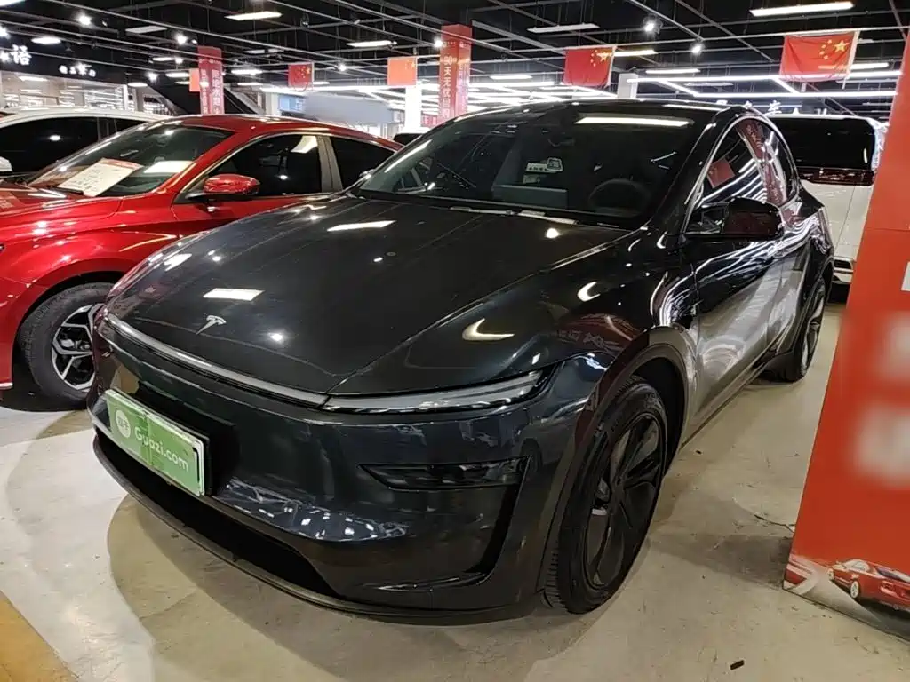 Tesla Model Y — миниатюра 2