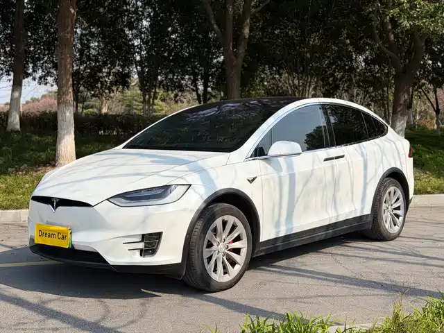 TESLA MODEL X 2020