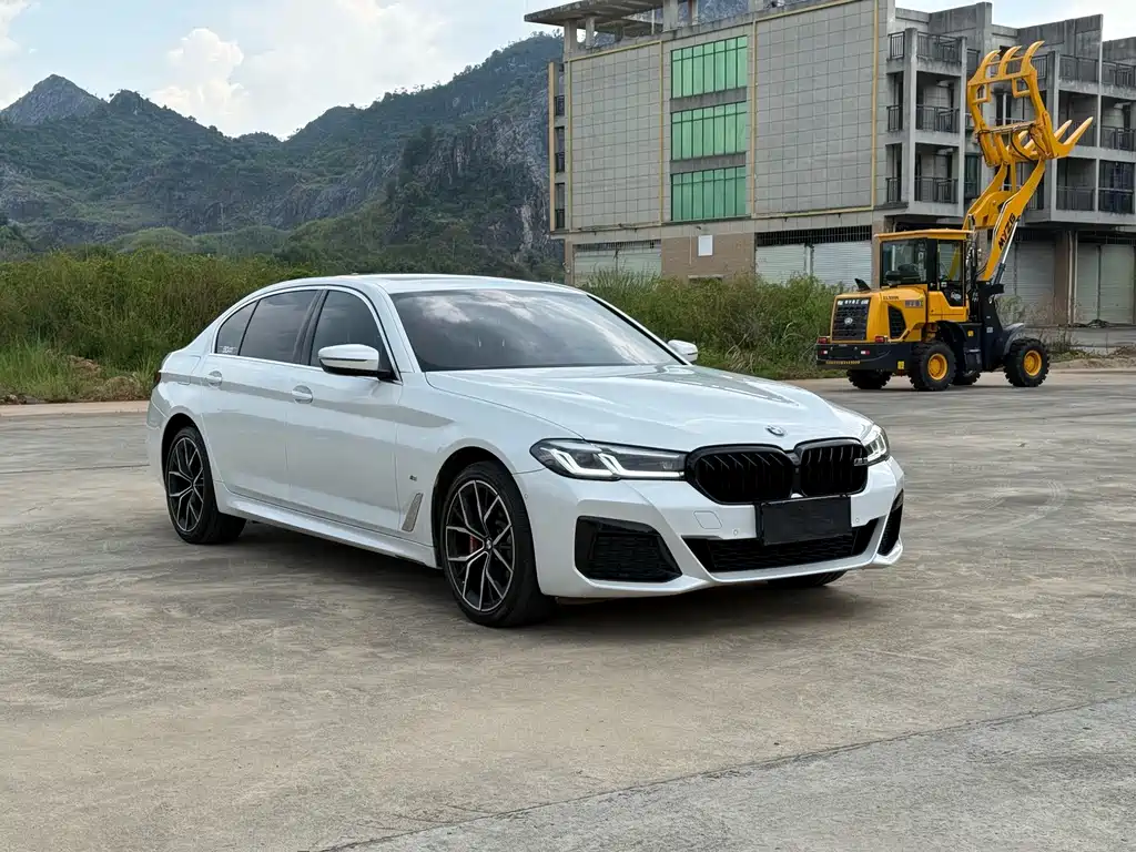 BMW 5 Series — миниатюра 3
