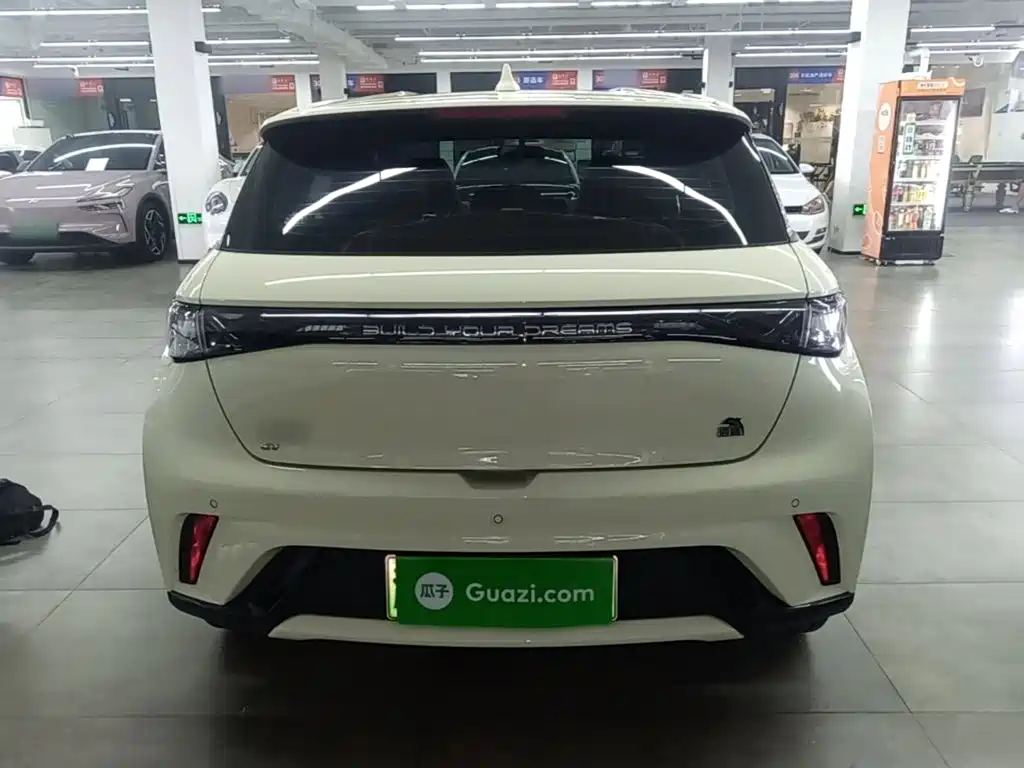 BYD Dolphin — миниатюра 6