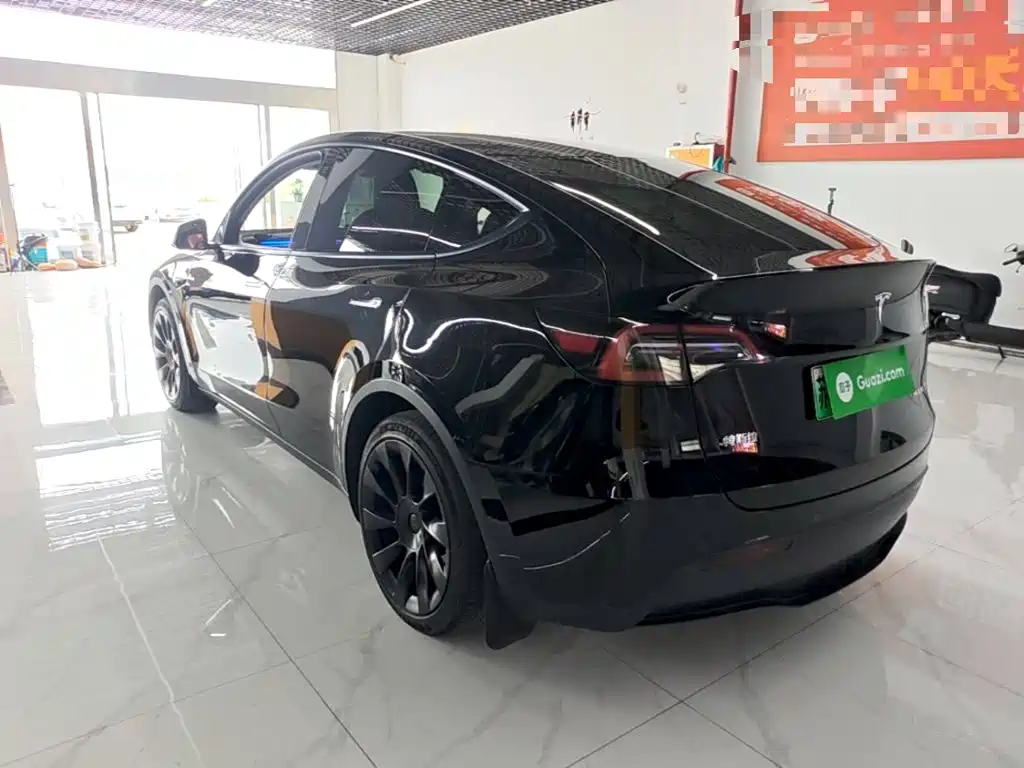 Tesla Model Y — миниатюра 5