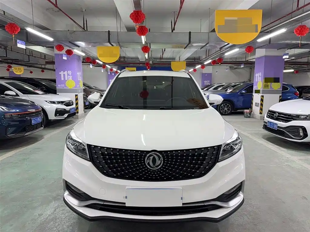 DONGFENG SCENERY 580PRO