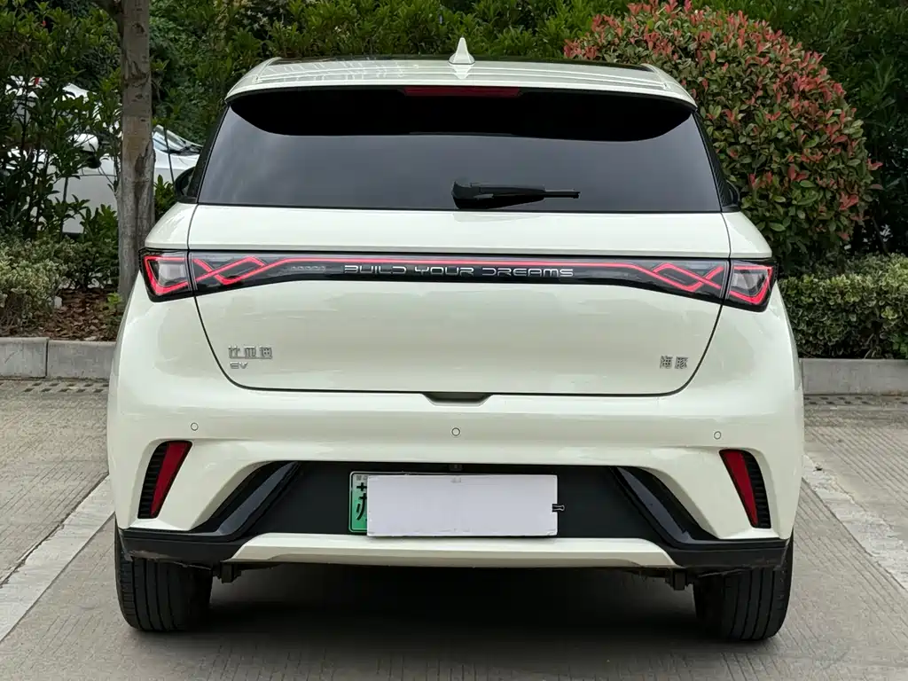 BYD Dolphin 2025 420km Fashion