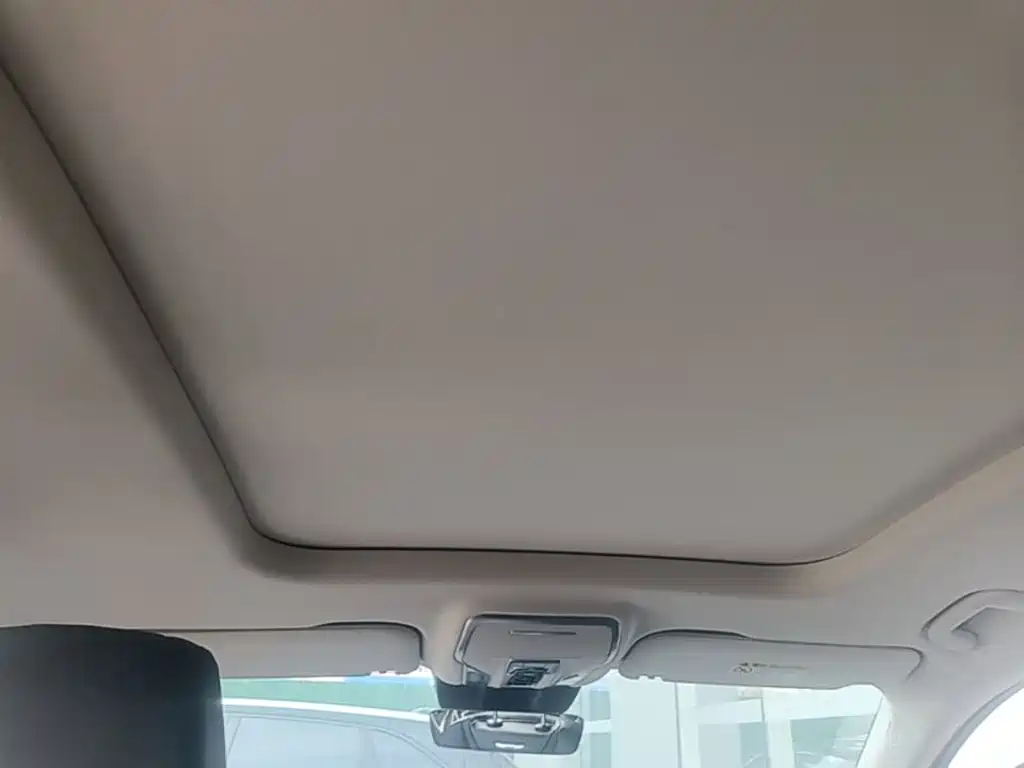 Hongqi Hongqi HS7 PHEV — миниатюра 18