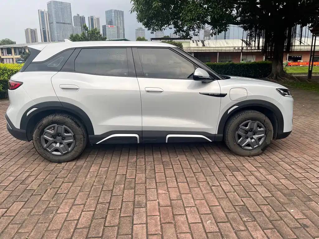BYD Yuan Up UP 2024 401KM