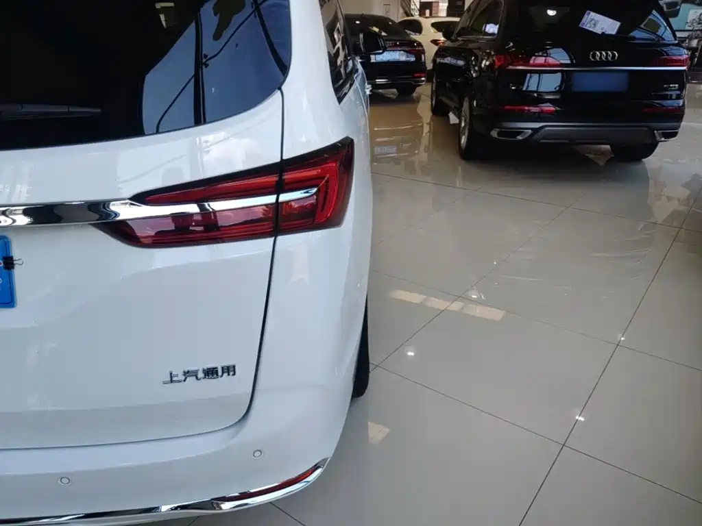 Buick GL8 — миниатюра 8
