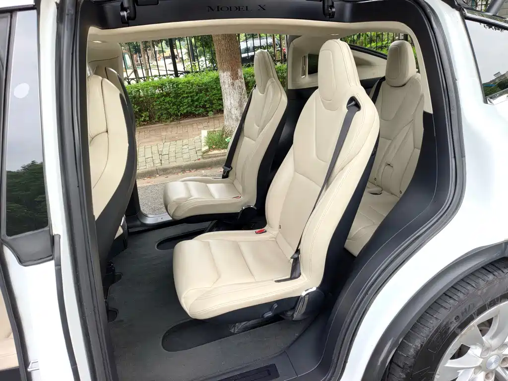 Tesla Model X — миниатюра 5