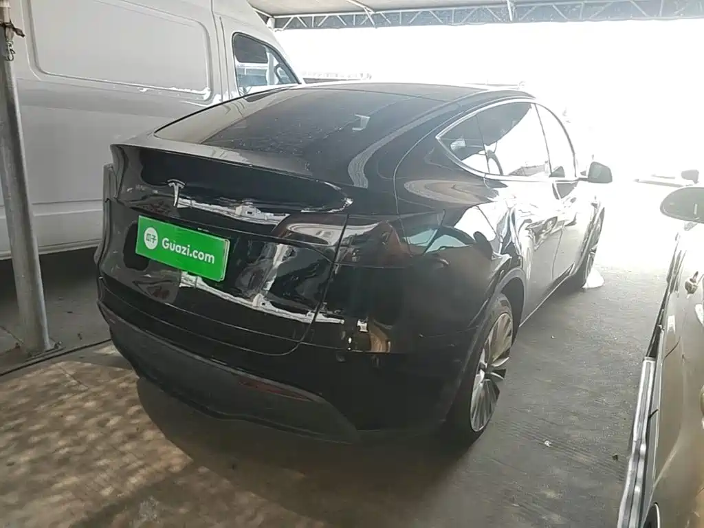 Tesla Model Y — миниатюра 7