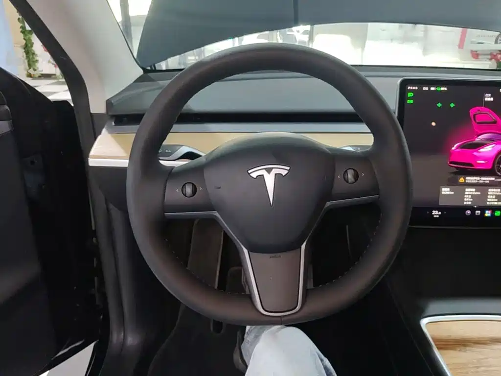 Tesla Model Y — миниатюра 11